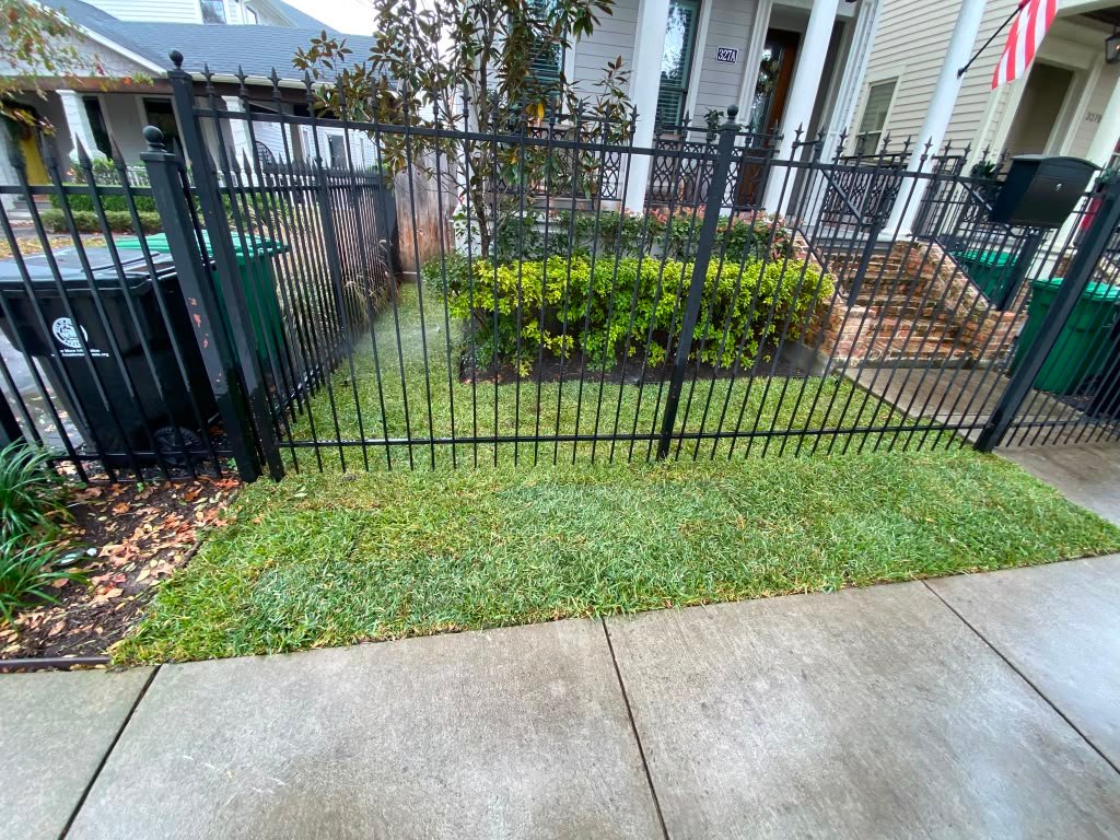 Fresh sod installed across a residential lawn
